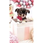 犬 iPhone8,7,6 Plus 壁紙 拡大(1125×2001) かわいいプレゼント 犬 iPhone8,7,6 Plus 壁紙 拡大(1125×2001) かわいいプレゼント