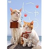にゃらんがゆく でしといっしょ Php文庫 じゃらん編集部 本 通販 Amazon にゃらんがゆく でしといっしょ Php文庫 じゃらん編集部 本 通販 Amazon