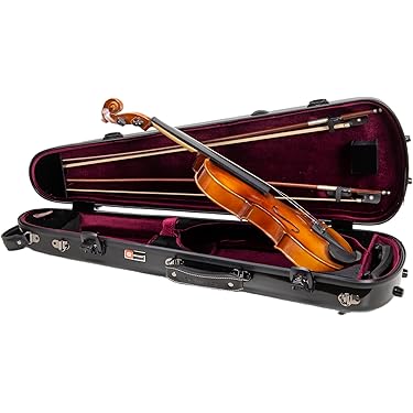 Amazon.co.jp 売れ筋ランキング: バイオリンケース の中で最も人気の