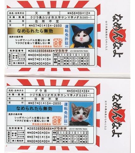 Amazon | 【全5種セット】 なめ猫 免許証セット まとめ買い