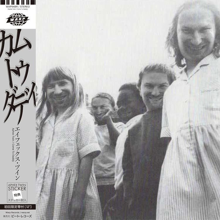 12\" Aphex Twin Windowlicker エイフェックスツイン WINDOWLICKER (12