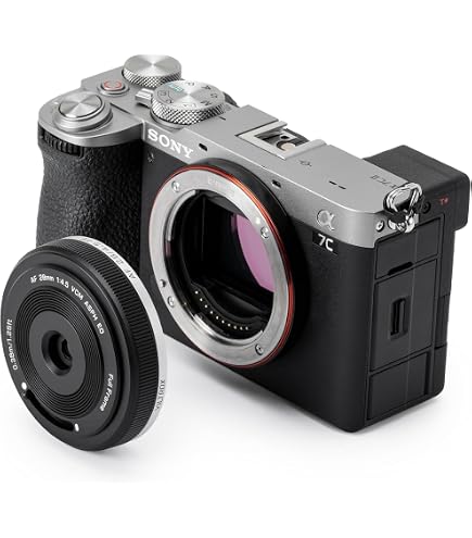 Amazon.co.jp: 【整備済み品】 ソニー(SONY) FE 28-60mm F4-5.6 : 家電