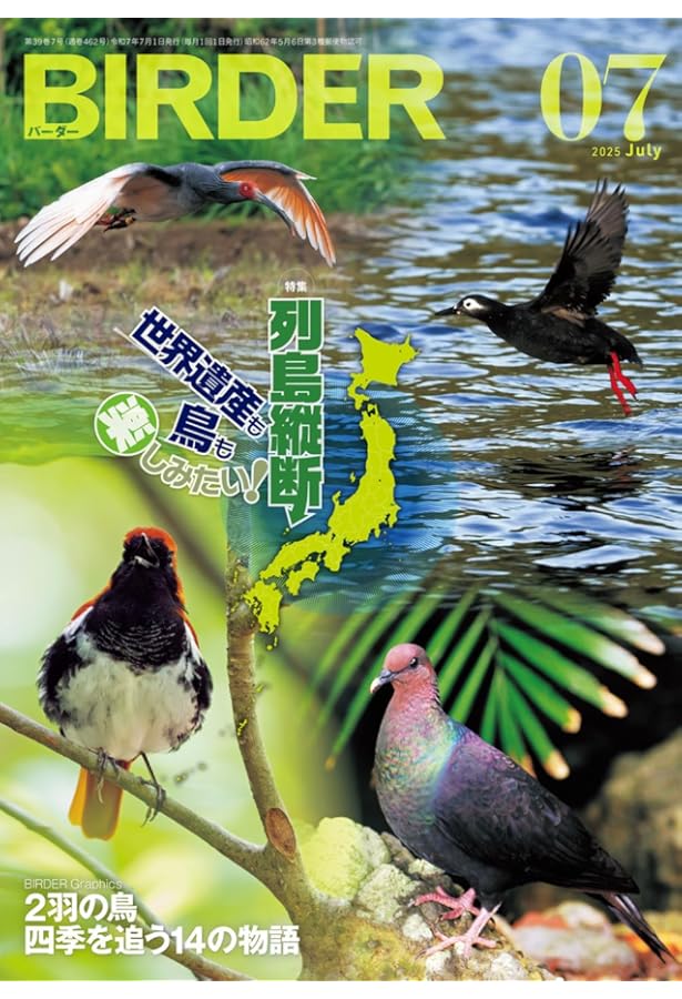 美品【BIRDER】2024年 2487736_n.jpg