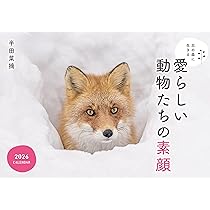 家族の笑顔が生まれるほのぼのアップリケカレンダーキット 家族の笑顔がうまれるほのぼのアップリケカレンダー12カ月