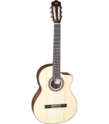 Amazon | Cordoba コルドバ C4-CE FISHMAN ピックアップ搭載