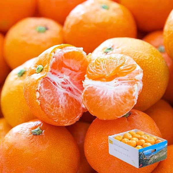 Amazon.co.jp: みかん 箱買い 小玉 訳あり 3kg 愛媛産 八幡浜市