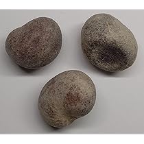 71UdliLUnqL._AC_UL210_SR210,