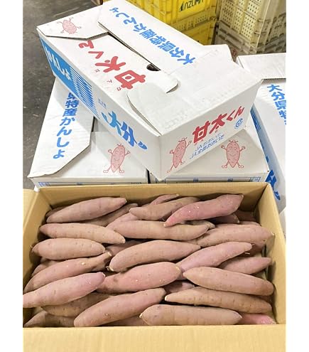 Amazon.co.jp: 【産地厳選】訳あり シルクスイート 大きさお任せ 約