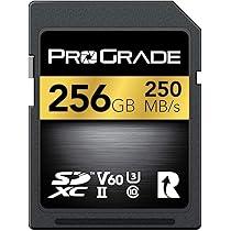 Amazon | ProGrade Digital SDXC UHS-II V60 GOLD 256GB プログレード 