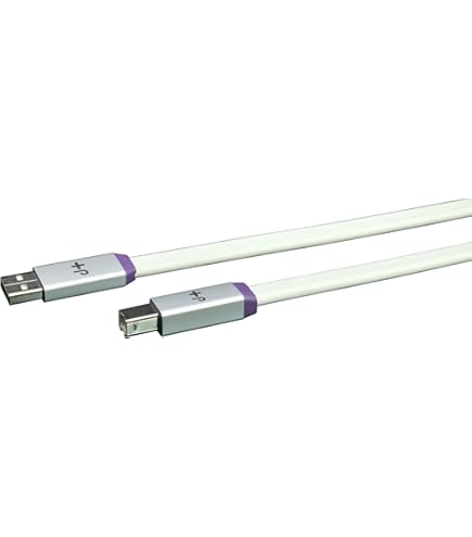 Amazon.co.jp: アコースティックリバイブ ACOUSTIC REVIVE PC