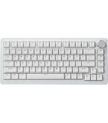 Amazon.co.jp: DrunkDeer A75 キーキャップセット 82キー PBT キー