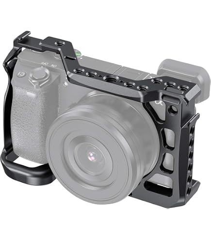 Amazon | Sony Câmera mirrorless Alpha A6600 | ミラーレス一眼 通販