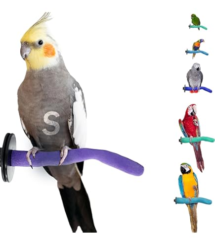 Parrot Beak Grinding Stone Swirge Bird Beak Grinding Stone Perch - 3PCS Volcanic Rock Platform For Parrots, Budgies, Cockatiels | Nail & Beak Trimmer Cage Accessory Bird Cage Accessories For Small Birds