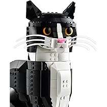 71UysE9xsKL._AC_UL210_SR210,