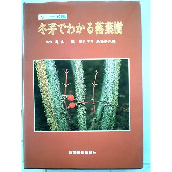 冬芽でわかる落葉樹 ４１９種の検索 改訂版/信濃毎日新聞社/馬場多久男（単行本） 冬芽でわかる落葉樹〔改訂版〕 | 馬場 多久男 |本 | 通販 | Amazon