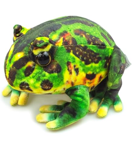 Adam Binder 動物　カエル【750個限定】 Adam Binder 動物 カエル【750個限定】