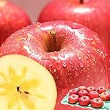 りんご 3kg箱 サンふじ ご家庭用 青森 ３キロ箱 林檎 青森期待の新人商店