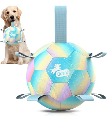 Amasiver Dog Soccer Ball With Straps – 8 Inch Herding Ball Toy For Tug, Fetch & Water Play