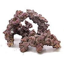 Yuka 天然ライブロック 約3.7kg Yuka様専用 天然ライブロック 約3.7kg
