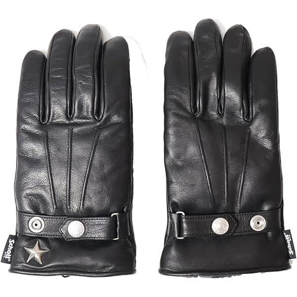 Amazon.co.jp: 【Schott】【ショット】 WINTER ZIP GLOVE ウィンター