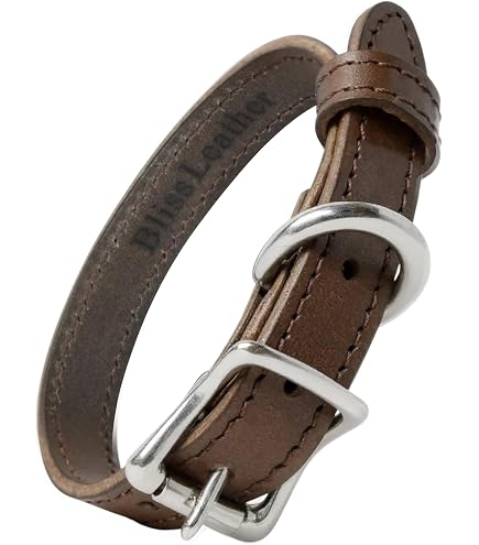 Amazon | コーチ 犬の首輪 COACH アウトレット シグネチャー ペット