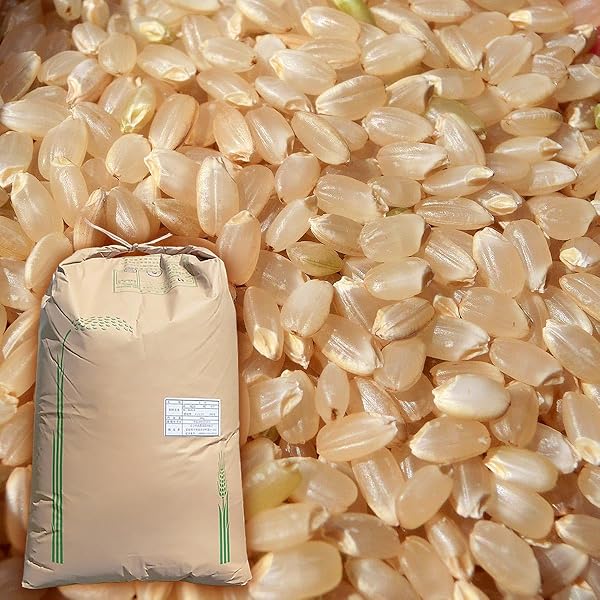 Amazon.co.jp: 【 愛媛みかんの こだわり王国 】 令和7年産