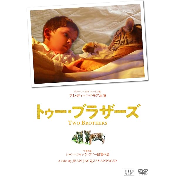 Amazon.co.jp: トゥー・ブラザーズ スタンダード・エディション : ガイ