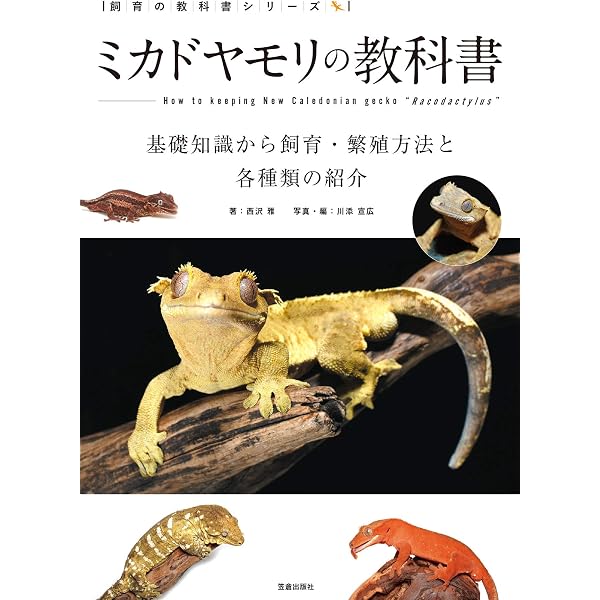 Amazon.co.jp: 有尾類の教科書 (サクラBooks) 電子書籍: 笠倉出版社