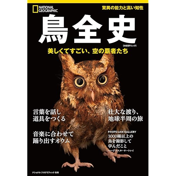 鳥を読む 文化鳥類学のススメ | 細川 博昭 |本 | 通販 | Amazon
