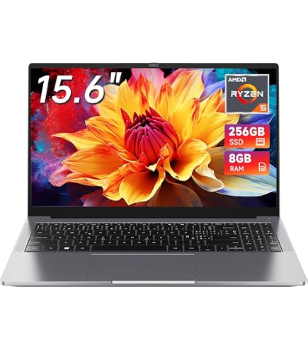 CHUWI HeroBook Pro 14.1 inch Windows 10 Laptop PC, 8G RAM / 256GB