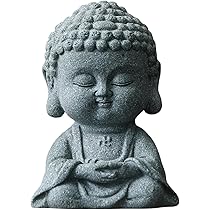 71VAjFfSsHL._AC_UL210_SR210,