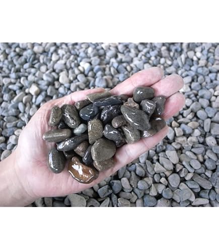 Amazon | 大磯砂利 8分 20kg | 砂利