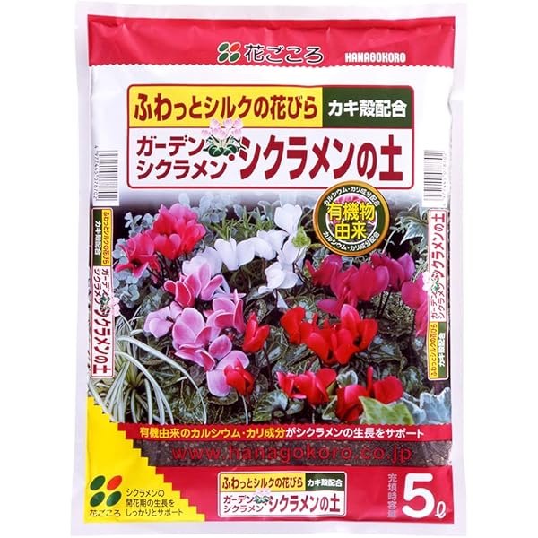 Amazon.co.jp: シクラメン、ガーデンシクラメン (NHK趣味の園芸 よく