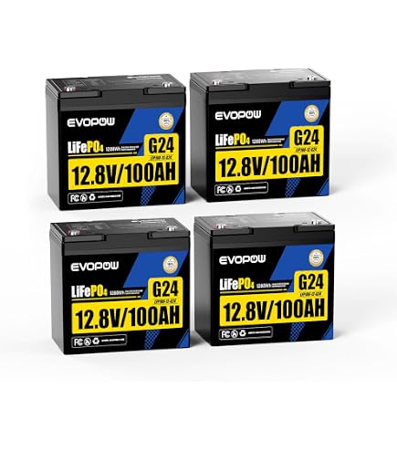 Amazon.co.jp: WSDAV リン酸鉄リチウム電池 12V 4Ah 6Ah 20Ah 30Ah