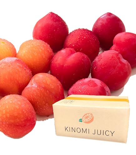 Amazon.co.jp: すもも 大石早生 プラム 1.6kg 400g×4パック 福岡産