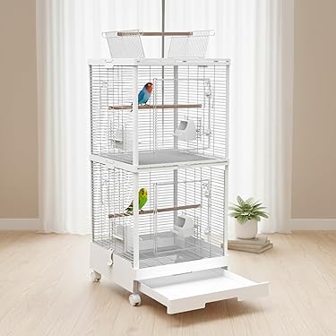 Amazon.co.jp 最新リリース: 鳥用品 の新着ランキングです。