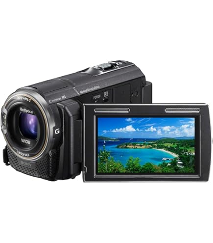 Amazon.co.jp: SONY ビデオカメラ Handycam CX420 内蔵メモリ32GB 