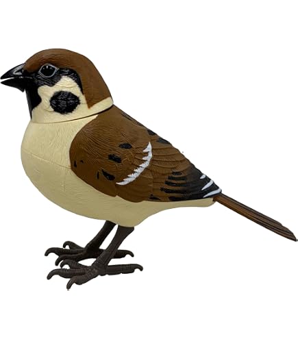 Amazon.co.jp: 縁起物 天然木 子鴨 カルガモ 鳥 木彫り置物 カモ 鴨