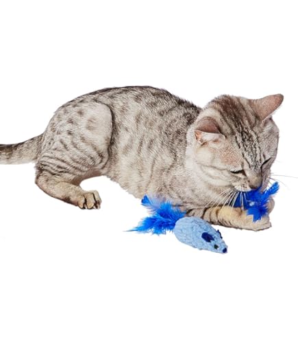 マルカン 不思議なくるくる 小鳥 付け替え用 猫用 CT-234 rdzdsi3 Amazon | マルカン 不思議なくるくる 小鳥 付け替え用 猫用 CT