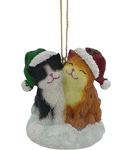 サンフランシスコ ミュージックボックス スノードーム 猫とプレゼント Amazon.co.jp: サンフランシスコオルゴールのかわいいかわいい猫の