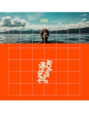 Amazon.co.jp: IN A LIFETIME (DVD盤) : GRAPEVINE: DVD