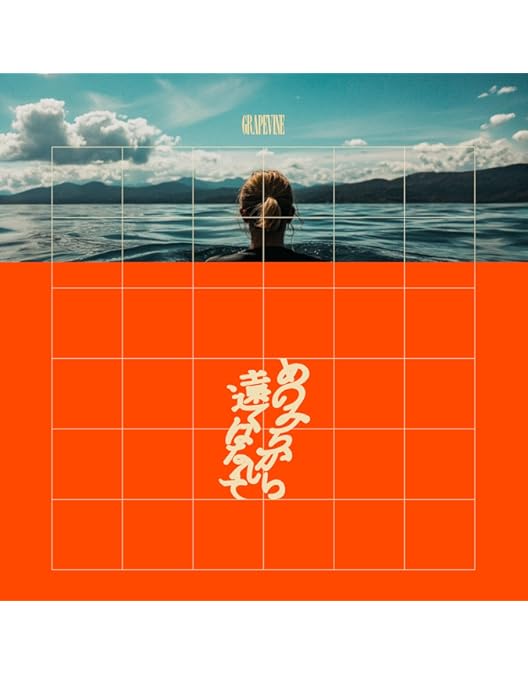 Amazon.co.jp: in a lifetime presents another sky [DVD + CD