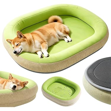 Amazon.co.jp 最新リリース: 犬用ベッド・クッション の新着ランキング