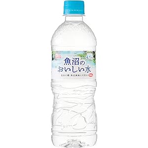 アイリスオーヤマ 魚沼産 おいしい水 飲料 540ml ×24本