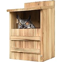 ふくろう 2BOX ふくろう フクロウ 二つ折財布 2W17 ボックス小銭入れ付