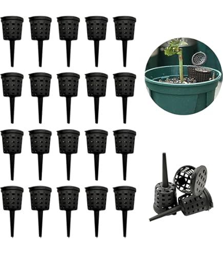 H.E camp　ビカクシダFSQ VP pup +肥料バスケット20個 H.E camp ビカクシダFSQ VP pup +肥料バスケット20個 H.E camp