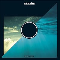 Amazon.co.jp: 儚くも美しき12の変奏 アナログレコード（重量盤2枚組