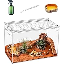 Amazon | KAKOOTIクロール動物シリンダー、27 x 15 x 20 cm