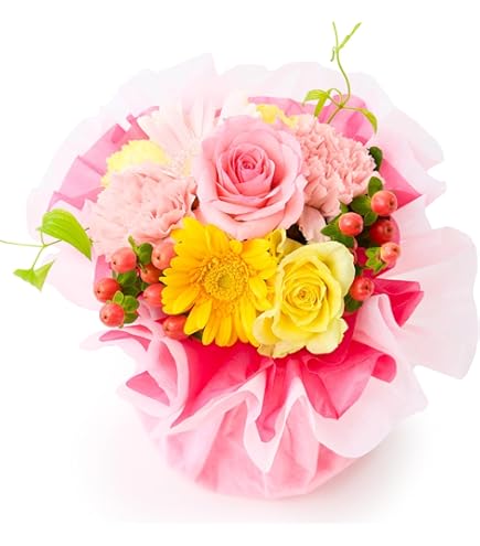 Amazon｜赤とピンクのカーネーションの花束10本母の日に｜花束