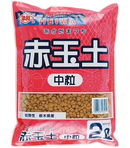 古墳時代後期　赤玉石勾玉　佐渡赤玉　出土品 Amazon.co.jp: 古墳時代後期 赤玉石勾玉 佐渡赤玉 出土品 : DIY